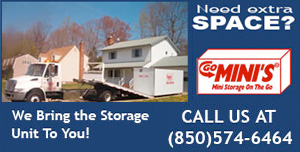 Go Mini's compare to Pods storage solutions Tallahassee FL